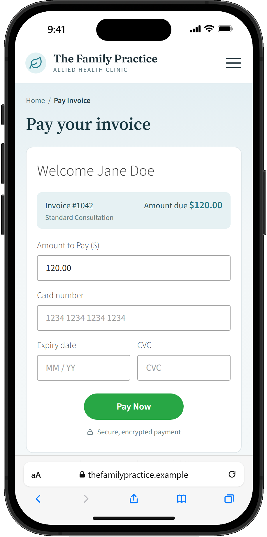 Practice Master Pro hosted patient invoice for online payment